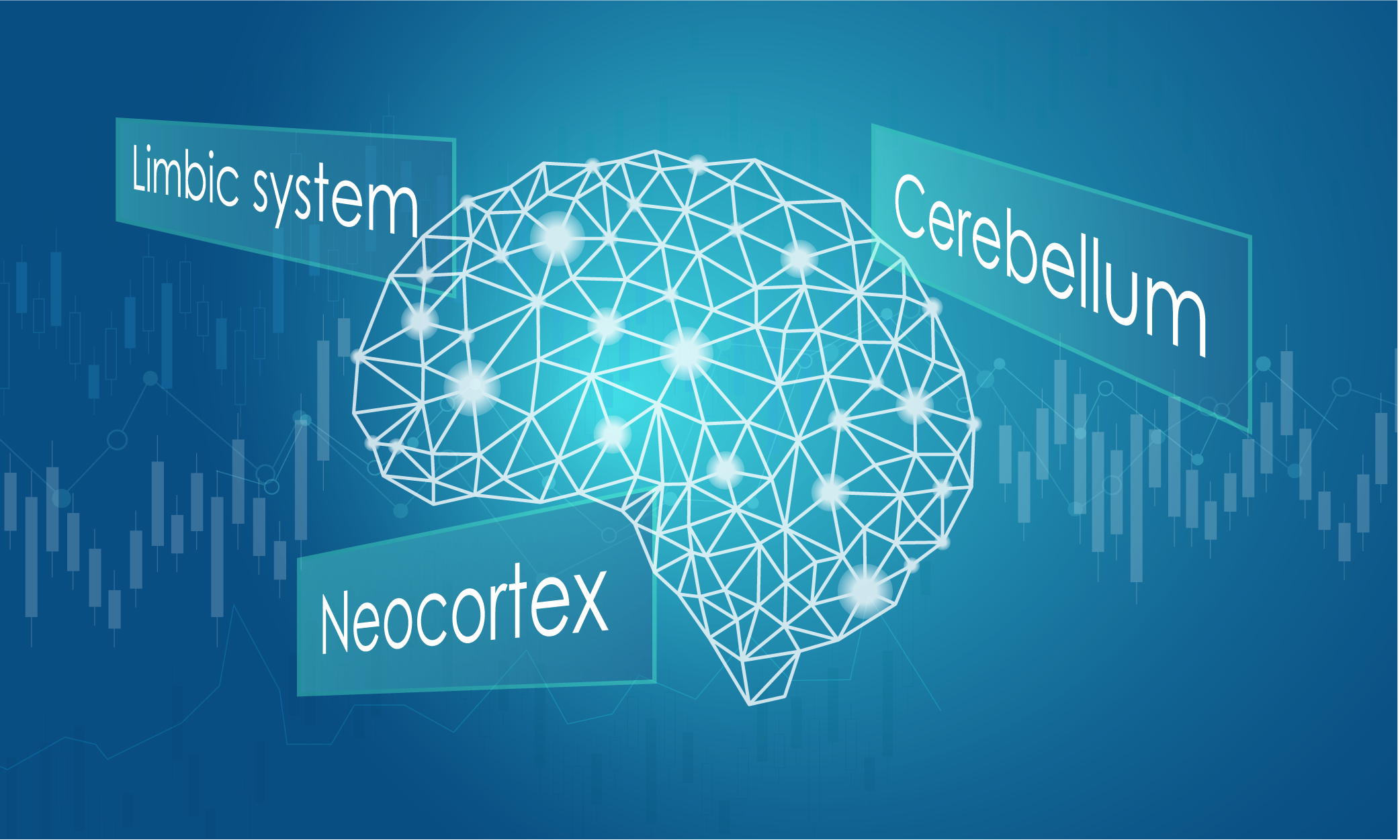 A Guide To Understanding Your Trading Brain | Learn To Trade